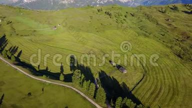 高海拔草地的空中无人机景观，形成柔软的山丘。 意大利，阿尔塔巴迪亚，南蒂罗尔