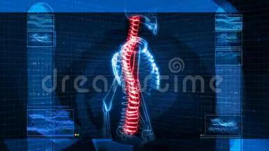 人骨架X射线扫描(HD)