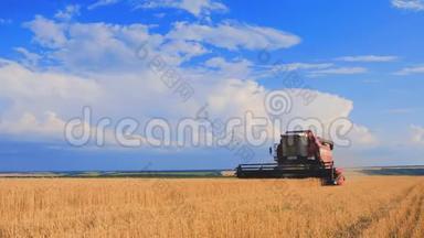 联合收割机收割小麦. 小麦收获剪.. 领域的组合.食品行业理念..