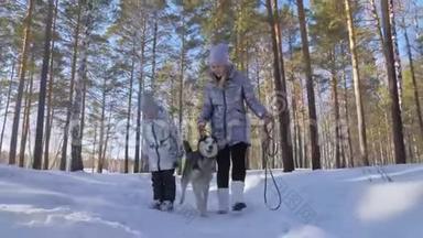 美丽的女人和小孩在冬天的森林里和哈士奇的狗散步。 快乐的年轻母亲和女儿