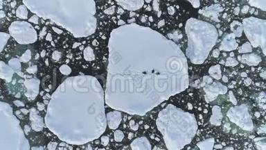南极企鹅群的冰航天景观