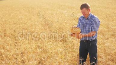 <strong>老</strong>农夫面包师拿着一个金色的面包和面包在成熟的麦田。 慢动作视频生活方式。 收获时间。 <strong>老了</strong>