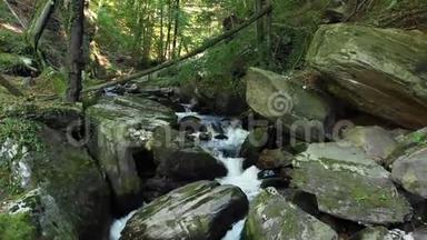 山河流过森林中的岩石和巨石