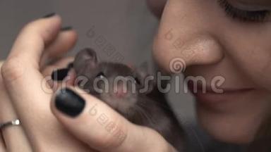 美丽可爱的<strong>女孩</strong>牵着一只小宠物棕色老<strong>鼠</strong>的手。 她拍了拍她的吻。 微笑。