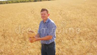 <strong>老</strong>农面包师在成熟的麦田里拿着一种金色的生活方式面包和面包。 慢动作视频。 收获时间。 <strong>老了</strong>