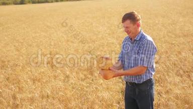 老农夫贝克的生活方式是在成熟的<strong>麦田</strong>里拿着金色的面包和面包。慢动作<strong>视频</strong>。收获时间。古老的