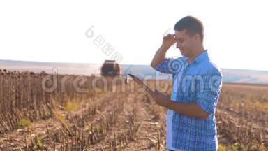 农民工作聪明的农业工人阅读或分析收获向日葵在农业领域的平板电脑上的报告