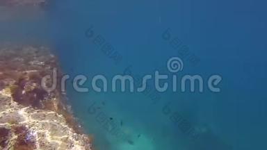 马耳他的岩石水下暗礁