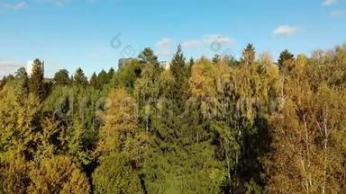 莫斯科生态清洁区与秋季森林的俯视图。 俄罗斯