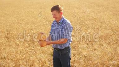 老农家面包师在成熟的麦田里拿着一个金色的面包和生活方式的面包。 慢动作视频。 收获时间。 老了