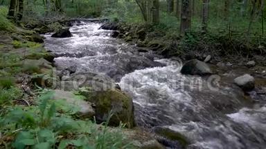 山区河流-流经厚厚的绿色森林，比斯特雷奇温特加，斯洛文尼亚