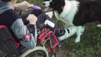 残疾人与狗玩耍，犬炎治疗，通过与狗训练残疾治疗，人在