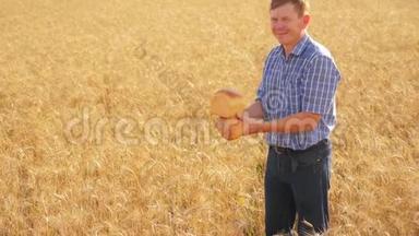 <strong>老</strong>农面包师在成熟的麦田生活方式中拿着一个金色的面包和面包。 慢动作视频。 收获时间。 <strong>老了</strong>