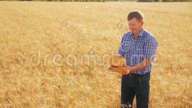老农夫面包师拿着一个金色的面包和面包在成熟的麦田。 慢动作视频。 收获时间。 <strong>老面</strong>包师