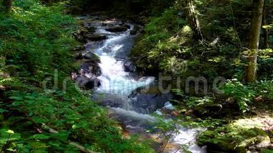 山区河流-流经厚厚的绿色森林，比斯特雷奇温特加，斯洛文尼亚
