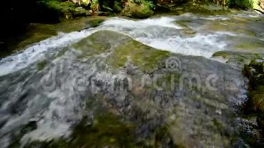 <strong>山区河流</strong>-流经厚厚的绿色森林，比斯特雷奇温特加，斯洛文尼亚