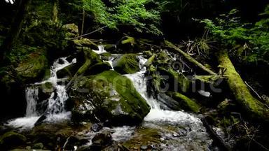 <strong>山区河流</strong>-流经厚厚的绿色森林，比斯特雷奇温特加，斯洛文尼亚