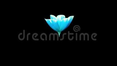 开放长时间盛开的蓝色花朵时间推移3D动画隔离背景<strong>新品</strong>质美丽假日自然