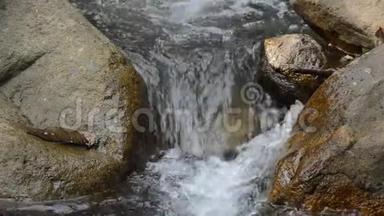 水穿过河流，穿过森林中的岩石和石头