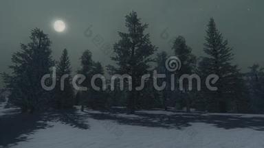 月光下的冬松林