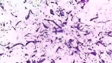 溅紫色漆.. 爆炸流体-液体在缓慢运动中爆炸。 阿尔法通道面罩包括全<strong>高清</strong>3D
