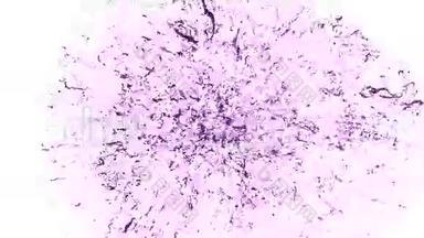 溅紫色漆.. 爆炸流体-液体在缓慢运动中爆炸。 阿尔法通道面罩包括全<strong>高清</strong>3D