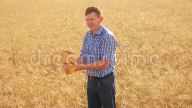 <strong>老</strong>农面包师在成熟的麦田里拿着一个金色的面包和面包。 慢动作视频。 收获时间。 <strong>老了</strong>