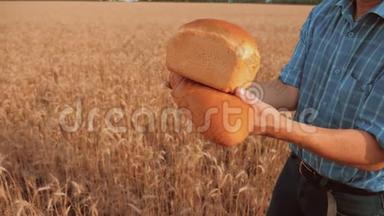 老农夫面包师拿着一个金色的面包和面包在麦田对抗蓝天。 生活方式慢视频