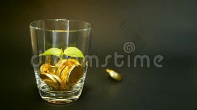 玻璃罐子里的金币和黑色背景上的嫩芽绿叶。 旋转，扭曲，旋转，旋转便士。