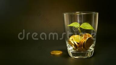 玻璃罐子里的金币和黑色背景上的嫩芽绿叶。 旋转，扭曲，旋转，旋转便士。