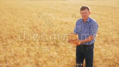 老农夫面包师拿着一个金色的面包和面包在成熟的麦田。 慢动作视频。 收获时间。 <strong>老面</strong>包师