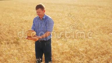 老农夫面包师拿着一个金色的面包和面包在成熟的麦田。 慢动作视频。 收获时间。 老面包师