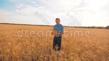 老农民生活方式男人面包师拿着一个金色的面包和面包在麦田对抗蓝天。 慢速视频
