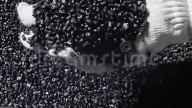 塑料黑色灰色颗粒屑。 塑料水管厂制造。 制作塑料管的过程