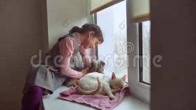 少女和宠物猫和宠物狗看着窗外，猫睡觉