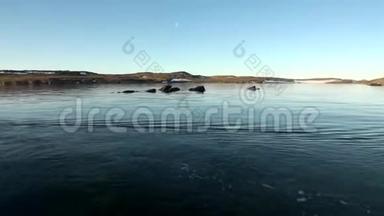 新地球Vaigach岛北冰洋海岸和水面..