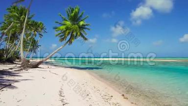 法属波利尼西亚热带海滩，棕榈树