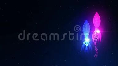 在水下用彩色光照射鱿鱼。 荧光色鱿鱼漂浮在水中。 CG循环动画。