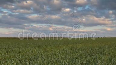 早春，在顿河<strong>辽阔</strong>的草原上，雷云在冬小麦的田野上移动。