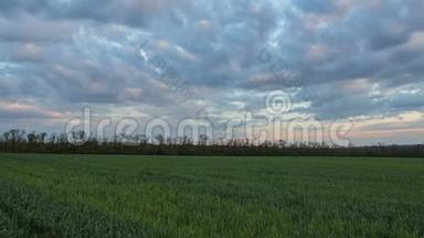 早春，在顿河辽阔的草原上，雷云在冬小麦的田野上移动。