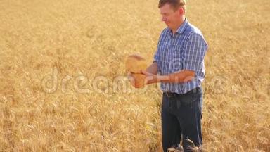老农家面包师在成熟的麦田里过着黄金面包的生活方式和面包。 慢动作视频。 收获时间。 老了