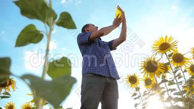 农夫手里拿着一个塑料瓶，生活方式<strong>葵花籽</strong>油站在田野里。 慢动作视频。 向日葵