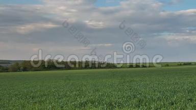 早春，在顿河<strong>辽阔</strong>的草原上，雷云在冬小麦的田野上移动。