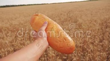 人类在麦田里拿着一条面包。慢动作视频。 小麦领域的成功农学家。 收获时间生活方式