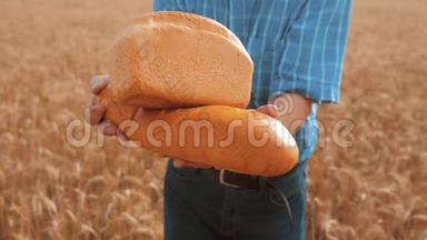 老农夫面包师拿着一个金色的面包和面包在<strong>麦田</strong>对抗蓝天。 慢动作<strong>视频</strong>。 成功成功成功