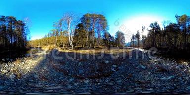 360VR虚拟现实的一片野山，松林和<strong>河流</strong>流淌.. 国家公园，<strong>草地</strong>和阳光。