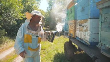 养蜂人在<strong>蜂群</strong>里工作的<strong>蜂群</strong>飞行多彩蜂窝慢动作视频。 养蜂人
