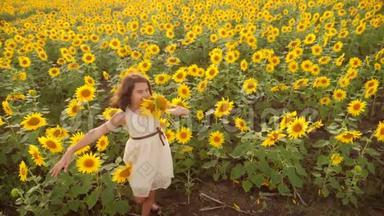 夏天向日葵田野上快乐的小女孩.. 美丽的小生活方式女孩向日葵。 慢速视频