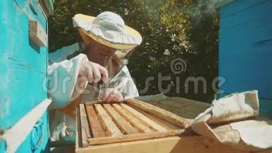 养蜂人在<strong>蜂群</strong>里工作的<strong>蜂群</strong>飞行多彩蜂窝慢动作视频。 养蜂人