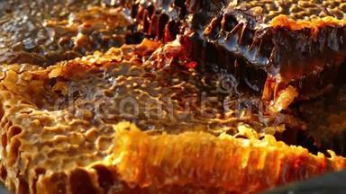 纯天然蜂蜜对人体健康，蜂窝为早餐，在玻璃碗蜂窝蜜，